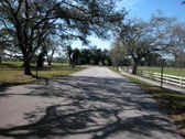 Enlarge photo 59