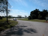Enlarge photo 62