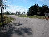 Enlarge photo 63