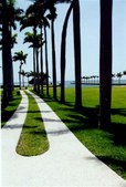 Enlarge photo 37
