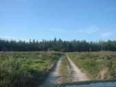 Enlarge photo 42
