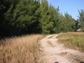 Enlarge photo 46