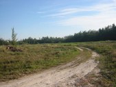Enlarge photo 43