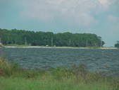 Enlarge photo 58