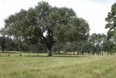 Enlarge photo 53
