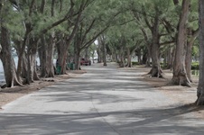 Enlarge photo 72