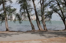 Enlarge photo 73