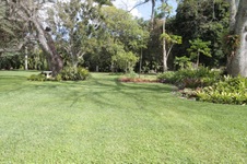 Enlarge photo 121