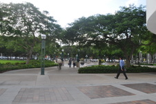 Enlarge photo 135