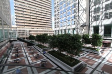 Enlarge photo 110