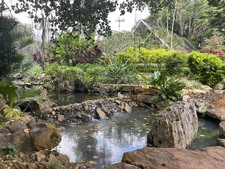 Enlarge photo 2
