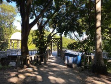 Enlarge photo 35
