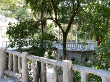 Enlarge photo 37