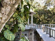Enlarge photo 40