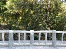 Enlarge photo 45
