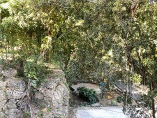 Enlarge photo 46
