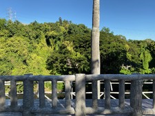 Enlarge photo 47