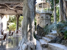 Enlarge photo 64