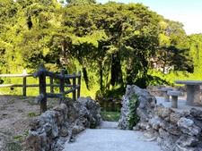 Enlarge photo 71