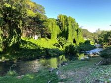 Enlarge photo 74