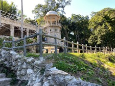 Enlarge photo 62