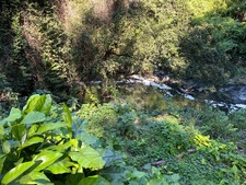 Enlarge photo 77