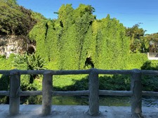 Enlarge photo 78