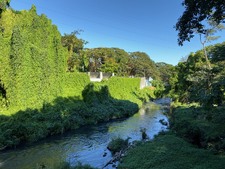 Enlarge photo 79