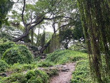 Enlarge photo 12