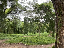 Enlarge photo 14
