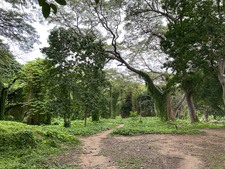 Enlarge photo 15