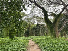 Enlarge photo 17