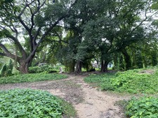 Enlarge photo 18