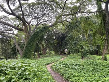 Enlarge photo 20