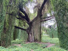 Enlarge photo 23