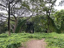 Enlarge photo 24