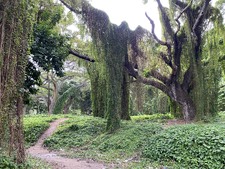 Enlarge photo 25