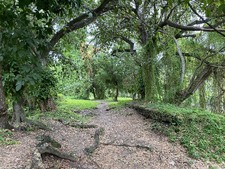 Enlarge photo 27