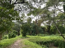 Enlarge photo 28