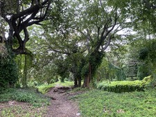 Enlarge photo 29