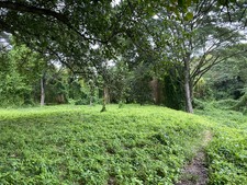 Enlarge photo 30