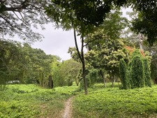 Enlarge photo 31