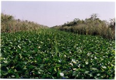 Enlarge photo 109