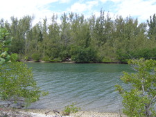 Enlarge photo 118