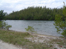 Enlarge photo 119