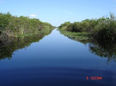 Enlarge photo 111