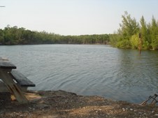 Enlarge photo 120