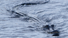 Enlarge photo 104