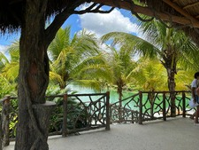Enlarge photo 170