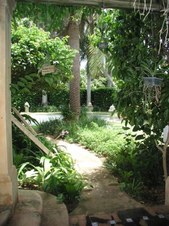 Enlarge photo 366